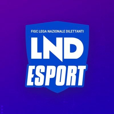 LND Esport Profile