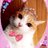 hikari_emi8353's profile image