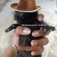 brett (@noodlebrett) 's Twitter Profile Photo brett (@noodlebrett) 's Twitter Profile Photo