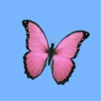 Raymond Payne (💙,🧡) (@raymondpayne___) 's Twitter Profile