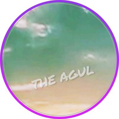 THE AGUL が大好き♡THEAGULがいればそれで満足♡ @UsK_the_agul @ken_the_agul🦖🐒 ダイセカも大好きDIVE TO THE 2ND @KazunoriInudo @kentiiyl ACE COLLECTION🥁もこよなく大好き
