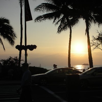 piresp4's profile picture. 早起きこわい