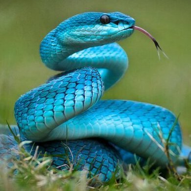 DJKwaq98's profile picture. 