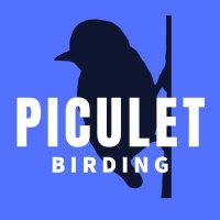 Piculet Birding Tours Colombia(@piculetbirding) 's Twitter Profile Photo