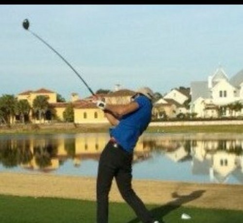 gdesinor1's profile picture. 