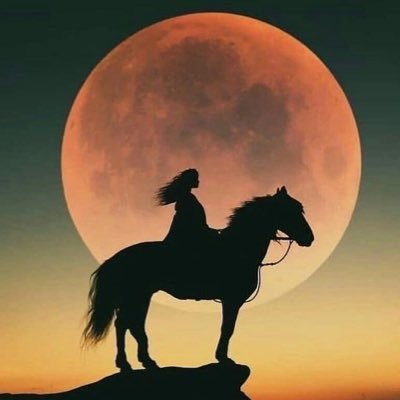 No me interesa tener miles de seguidores porque no vengo a hacer amigos. La cabeza se usa para pensar no para peinarla.