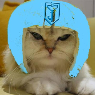 KittyVonCat's profile picture. 