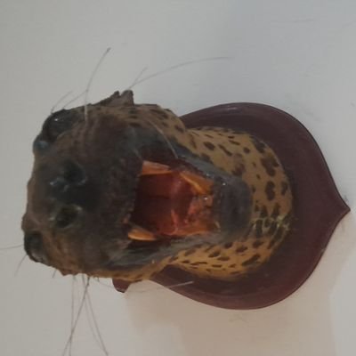 would_top's profile picture. we makes lyrics for songs 🎶 🎶
#entertainment