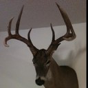 sonny bowman - @BowmanSonny - Twitter