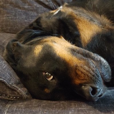 travfromto's profile picture. But how moist is your corn??