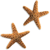The Beach Life (@_thebeachlife) Twitter profile photo The Beach Life (@_thebeachlife) Twitter profile photo