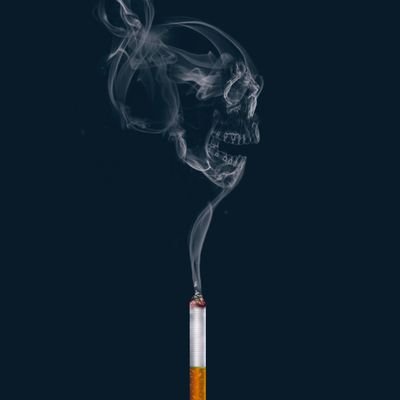 MhmdsrhanB's profile picture. 