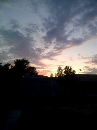 BBThemeJunkie's profile picture. Wouldn't you like to know! No...?