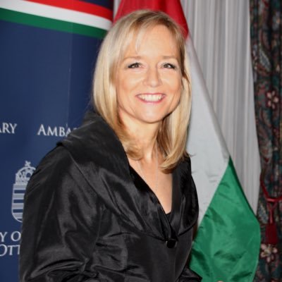Ambassador of Hungary to Canada, Head of Department for NW-Europe, Deputy Ambassador to London, Political Counsellor to Washington, Head of Section for NATO
