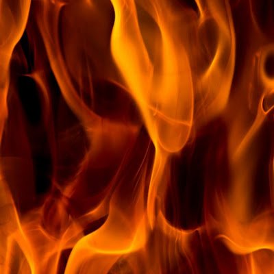 NETOSIS75's profile picture. 