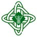 Irish Paramedicine Education & Research Network (@IPERN999) Twitter profile photo