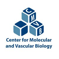 Center for Molecular and Vascular Biology (@cmvb_kuleuven) 's Twitter Profile