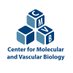 Center for Molecular and Vascular Biology (@cmvb_kuleuven) Twitter profile photo Center for Molecular and Vascular Biology (@cmvb_kuleuven) Twitter profile photo