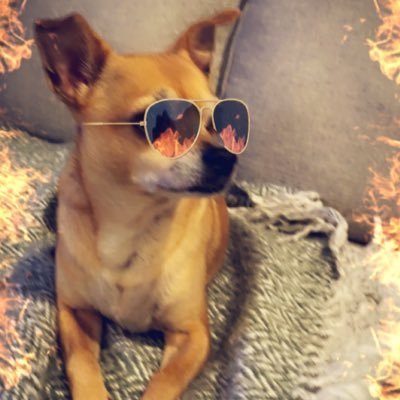 KN33KN's profile picture. 