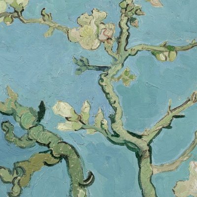 benjaminwegman's profile picture. Developer, new technology