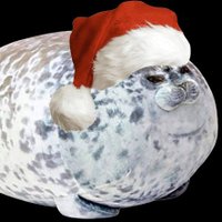 MYodaa (@myodaa_) 's Twitter Profile Photo MYodaa (@myodaa_) 's Twitter Profile Photo