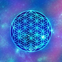 Life track (@mkh_mms) 's Twitter Profile