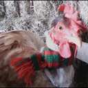 Katy Page - @katypage7560 - Twitter