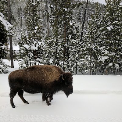 BelindaMaples1's profile picture. 