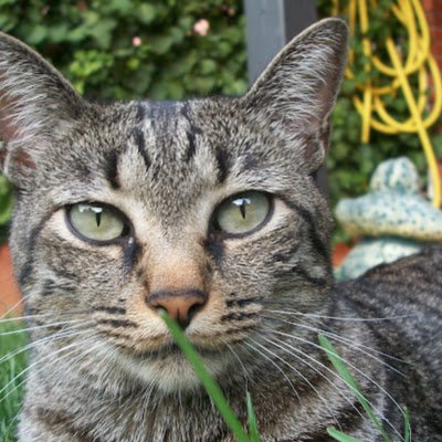 Antonio98590403's profile picture. 