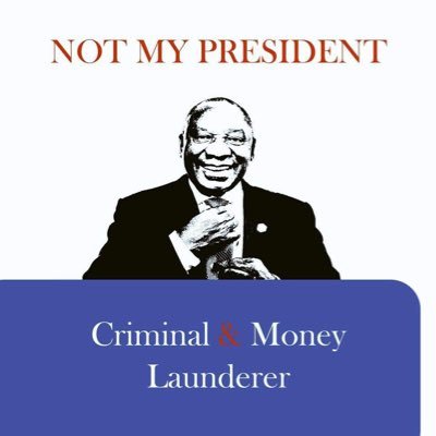 CR22 Money Launderer Profile