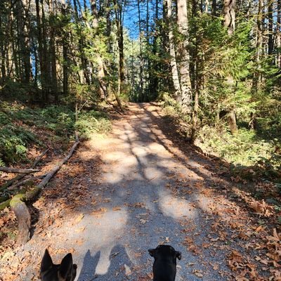 SteveOTheMan's profile picture. 