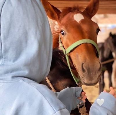 ربي آجعل أمور حياتنا ك حبيبات المطر  تأتي بدون موعد وتجعلنا  سعداء
🇦🇪🇦🇪🇦🇪🇦🇪🇸🇦🇸🇦🇸🇦🇸🇦
لا تسمح لموقف مدته دقيقة 
بأن يفسد يوم مدته 1440 دقيقة