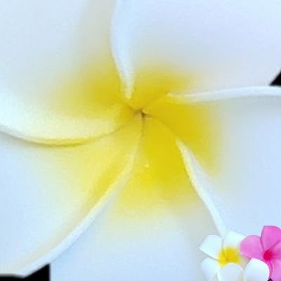YouTubeでピアノ🎹                                 手芸動画など見てます
