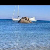 Muro (@muratsikit1) 's Twitter Profile