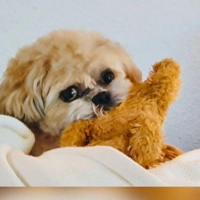 Rolofe78's profile picture. 