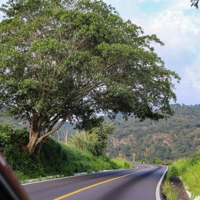 Mujer trabajadora con acitud positiva