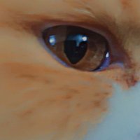 Sinan (@sinan77430133) Twitter profile photo