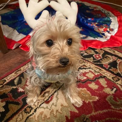 themightydano's profile picture. 