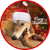 Missy Red Queen (@missygreyhound) Twitter profile photo Missy Red Queen (@missygreyhound) Twitter profile photo