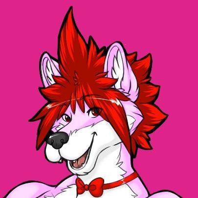 Professional Pink Wolf | Furry Artist | Obscene amount of macro/micro content | 18+ only