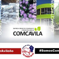 Comcavila_Director_Adjunto(@ComcavilaDirAdj) 's Twitter Profile Photo