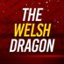 TheWelshDragon 🏴󠁧󠁢󠁷󠁬󠁳󠁿🐉 (@TheWelshDragon9) Twitter profile photo