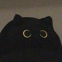 woot (@hrcalliopsis) 's Twitter Profile Photo woot (@hrcalliopsis) 's Twitter Profile Photo
