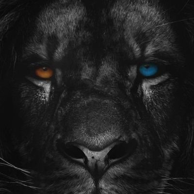 MuNGai_5's profile picture. ⚽❤️