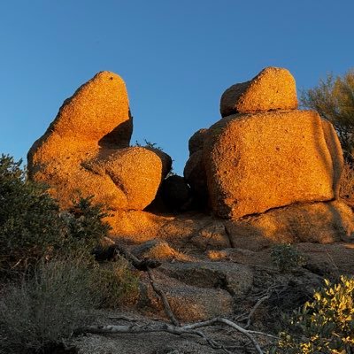 Ex0t0x's profile picture. Seo