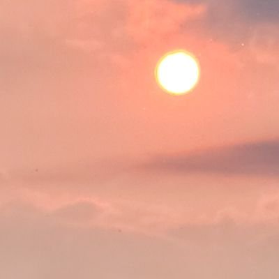 luke11736467's profile picture. retired ceo