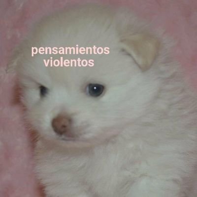 stephfdz's profile picture. 💥