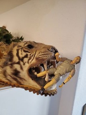 bone_vlad's profile picture. "OYYYY, MY ROIDS!!!"