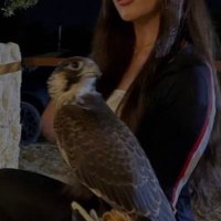 % (@uiweori) 's Twitter Profile Photo