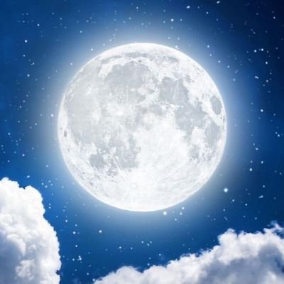 RocketMan12001's profile picture. 